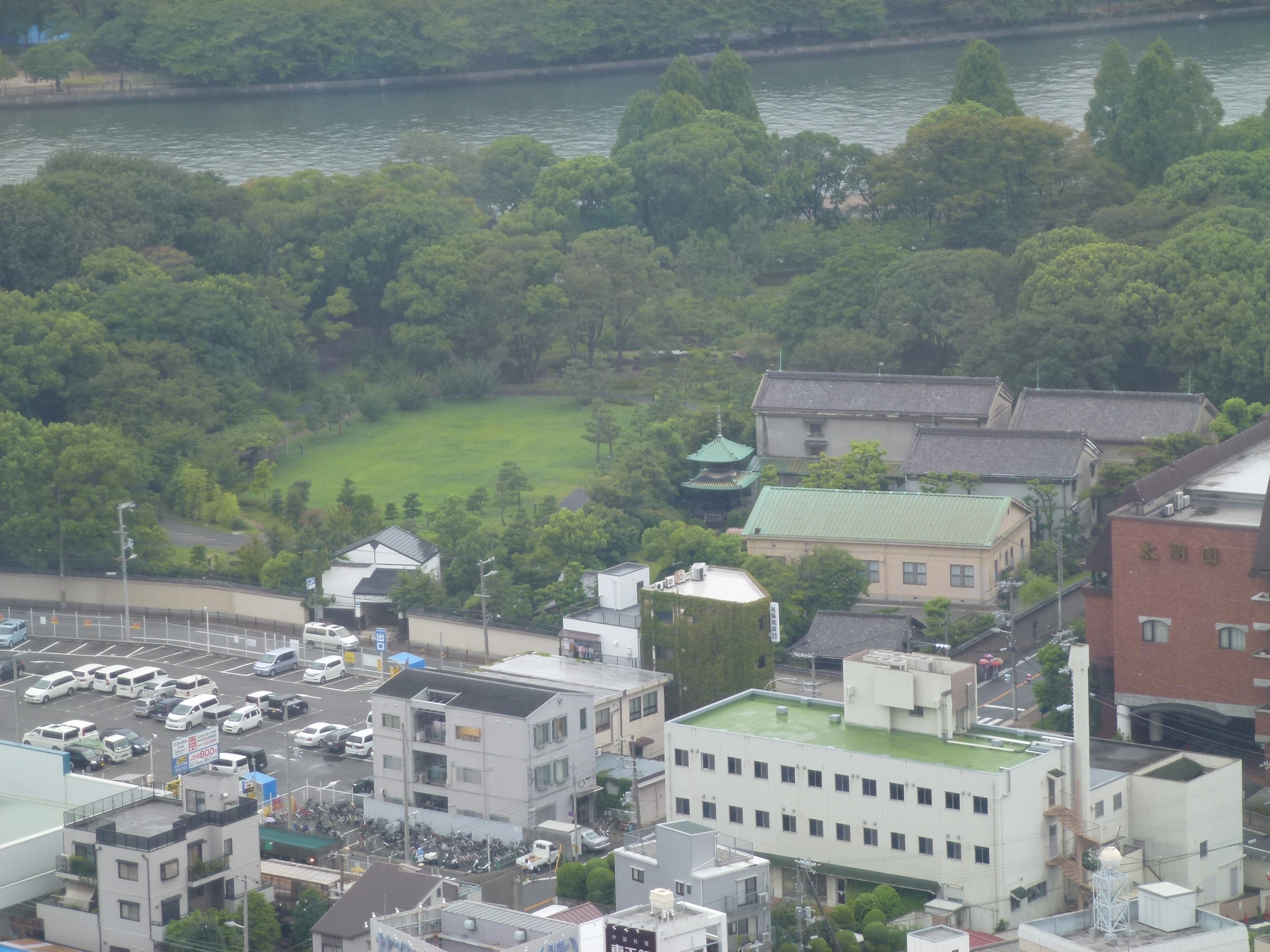 P1000527.JPG