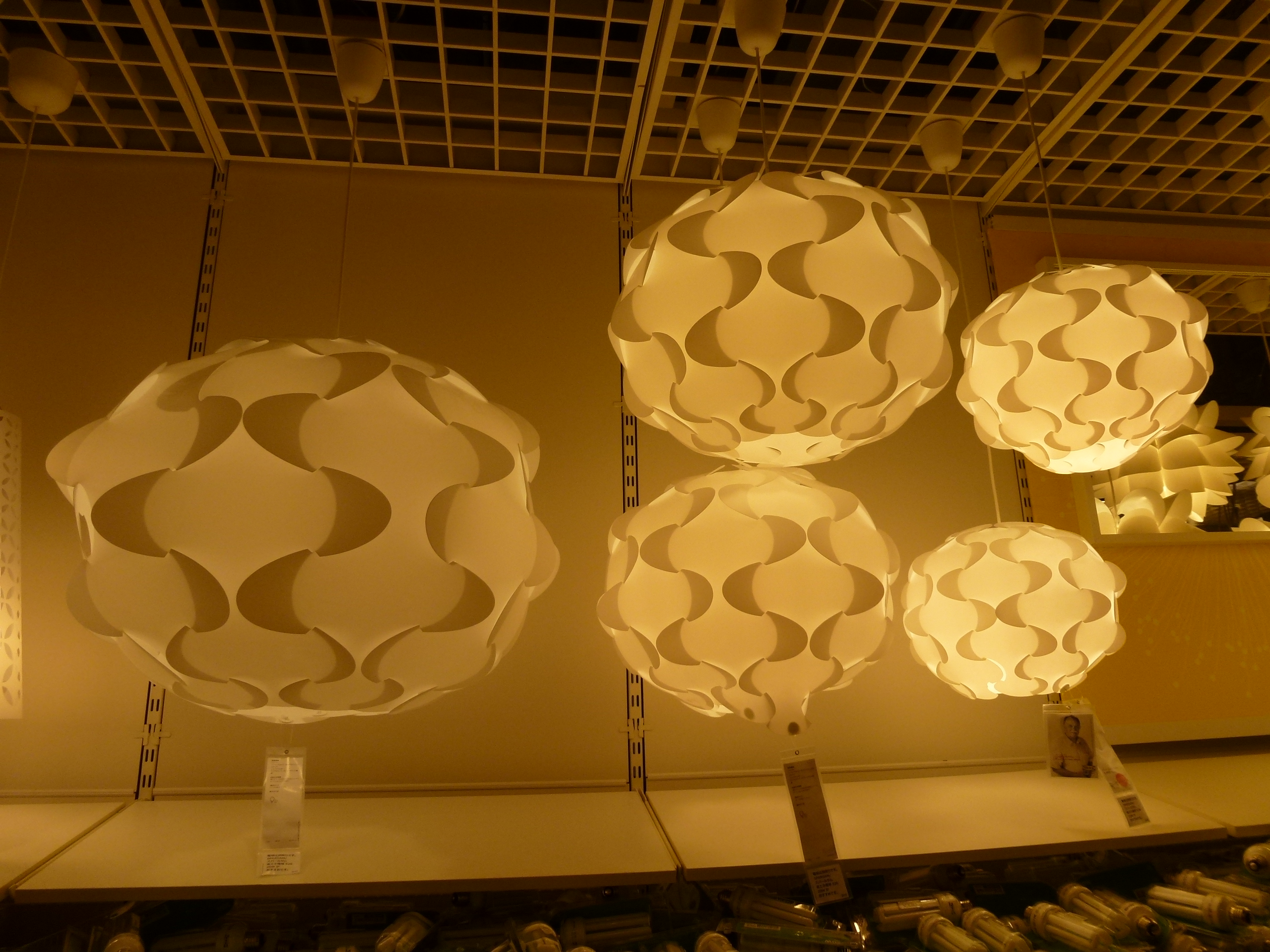 P1000546.JPG