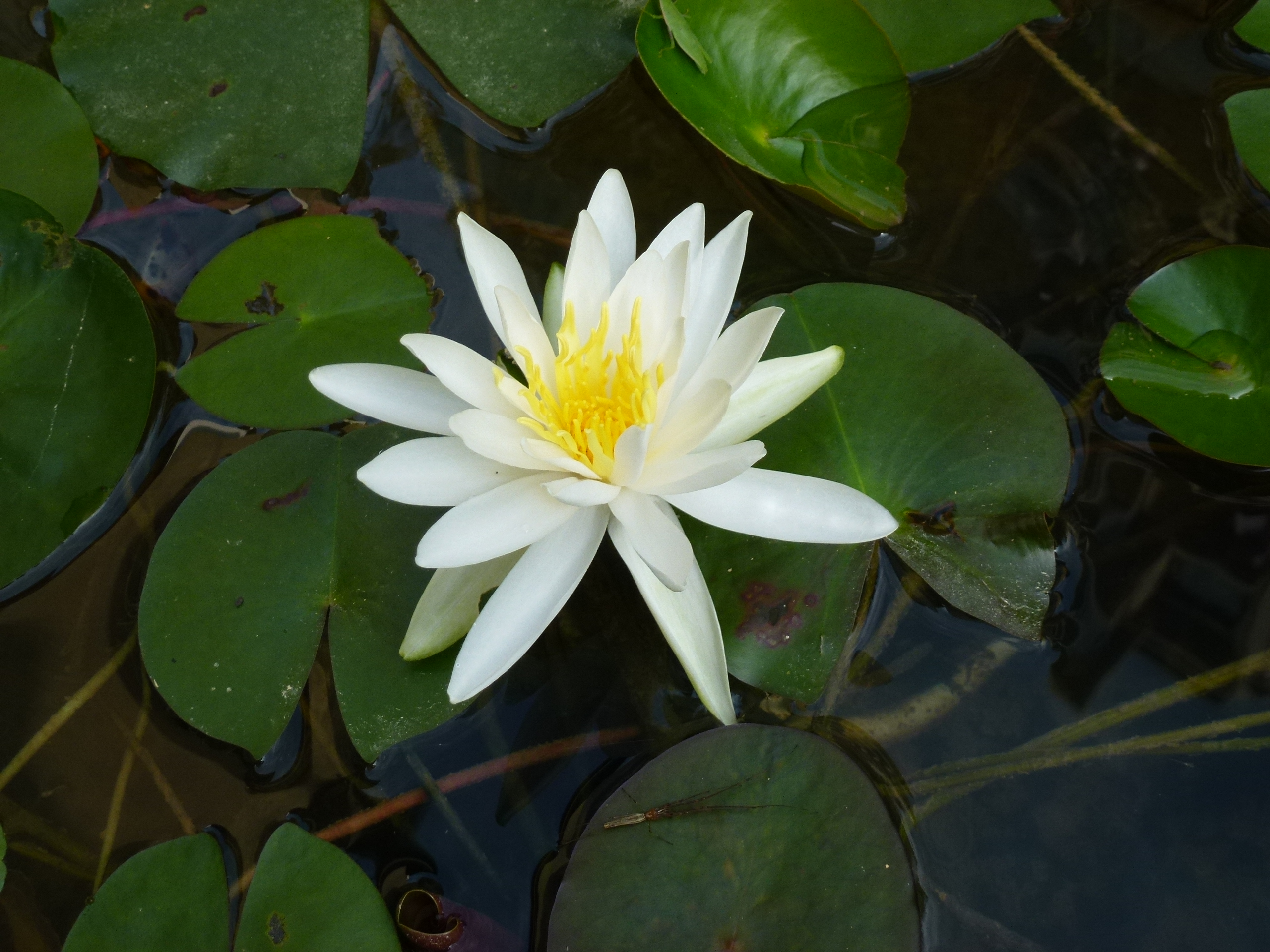 P1000550.JPG