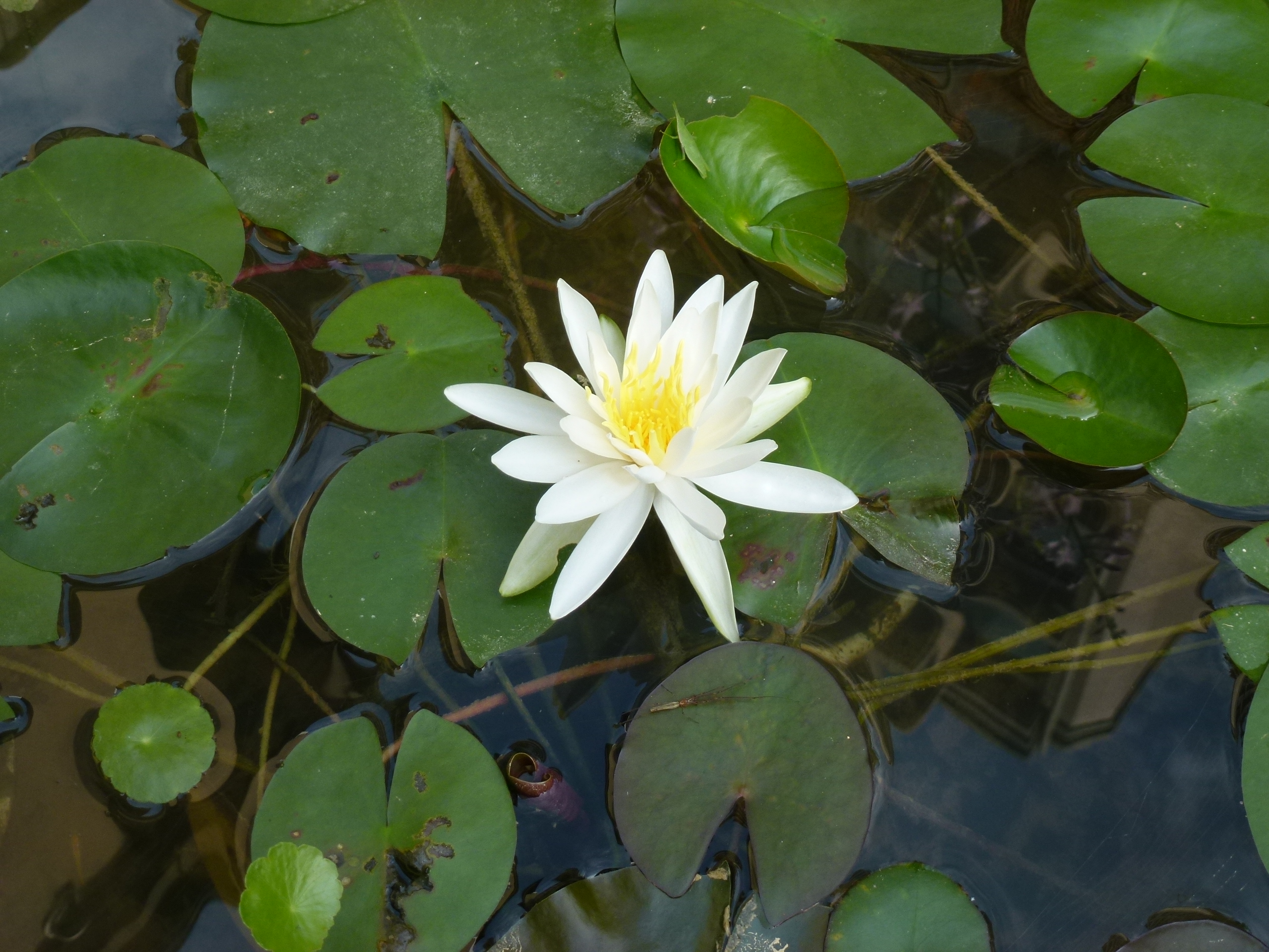 P1000551.JPG