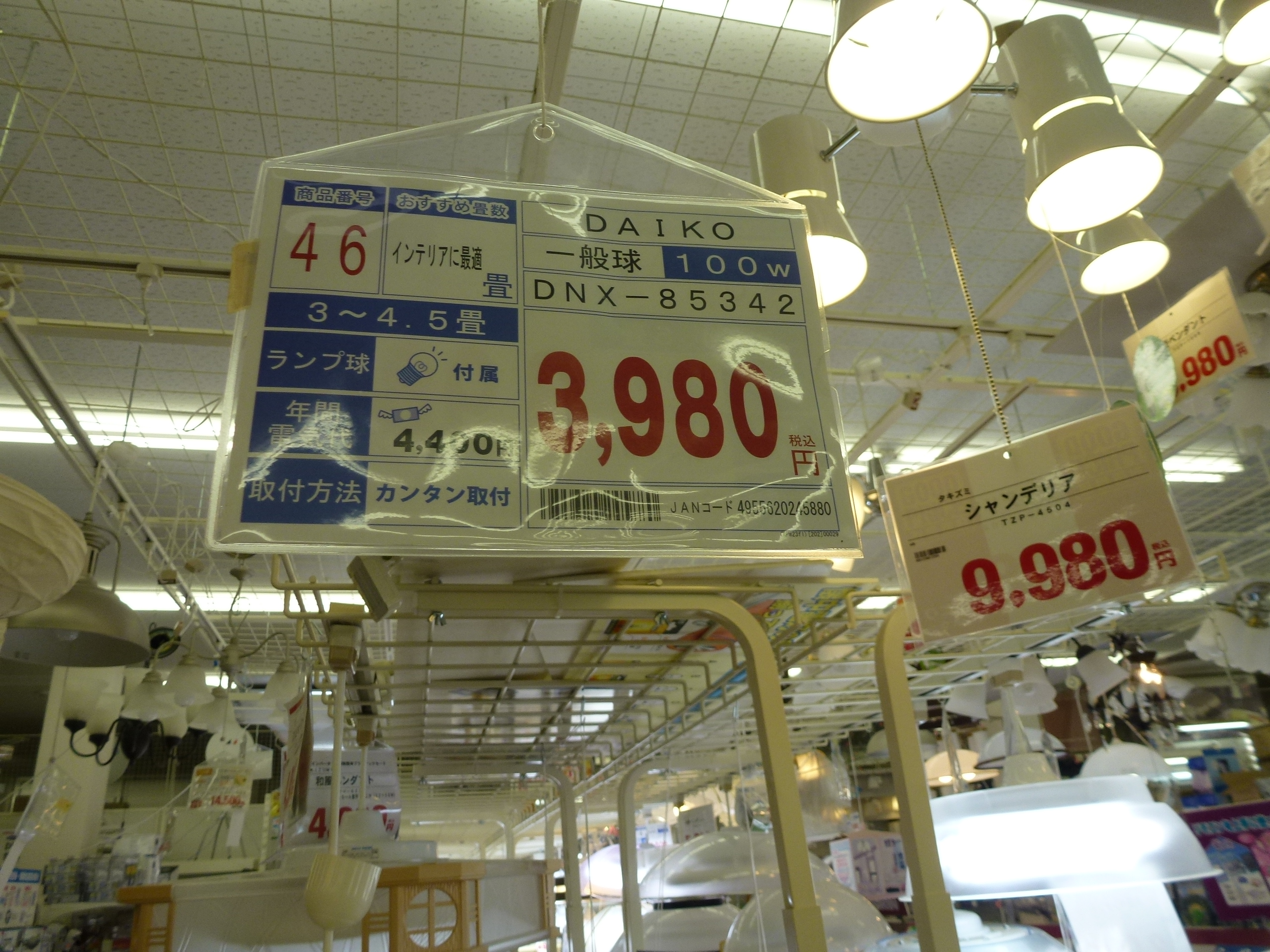 P1000558.JPG