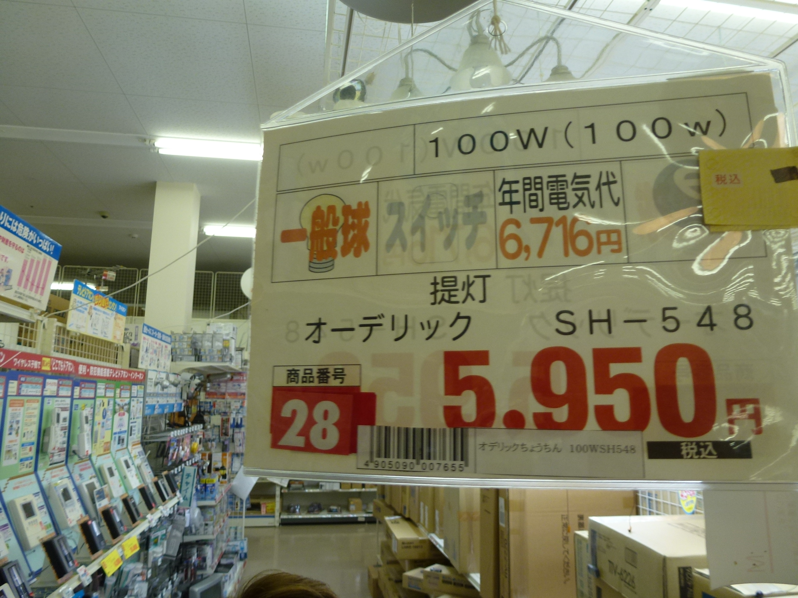 P1000559.JPG