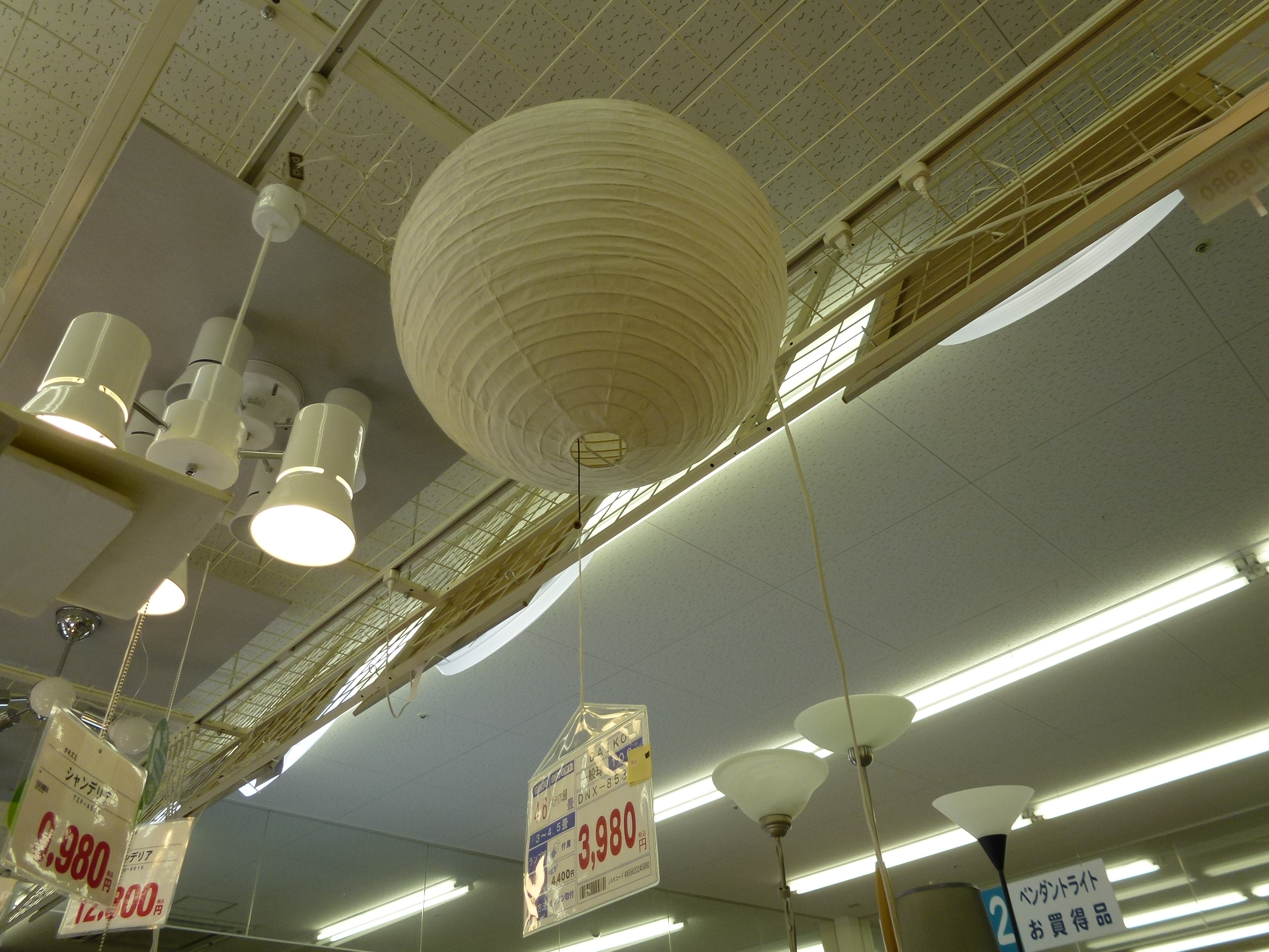 P1000561.JPG