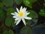 img0000.jpg