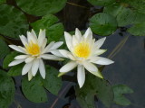 img0002.jpg