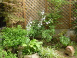 img0003.jpg