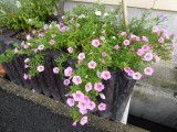 img0008.jpg