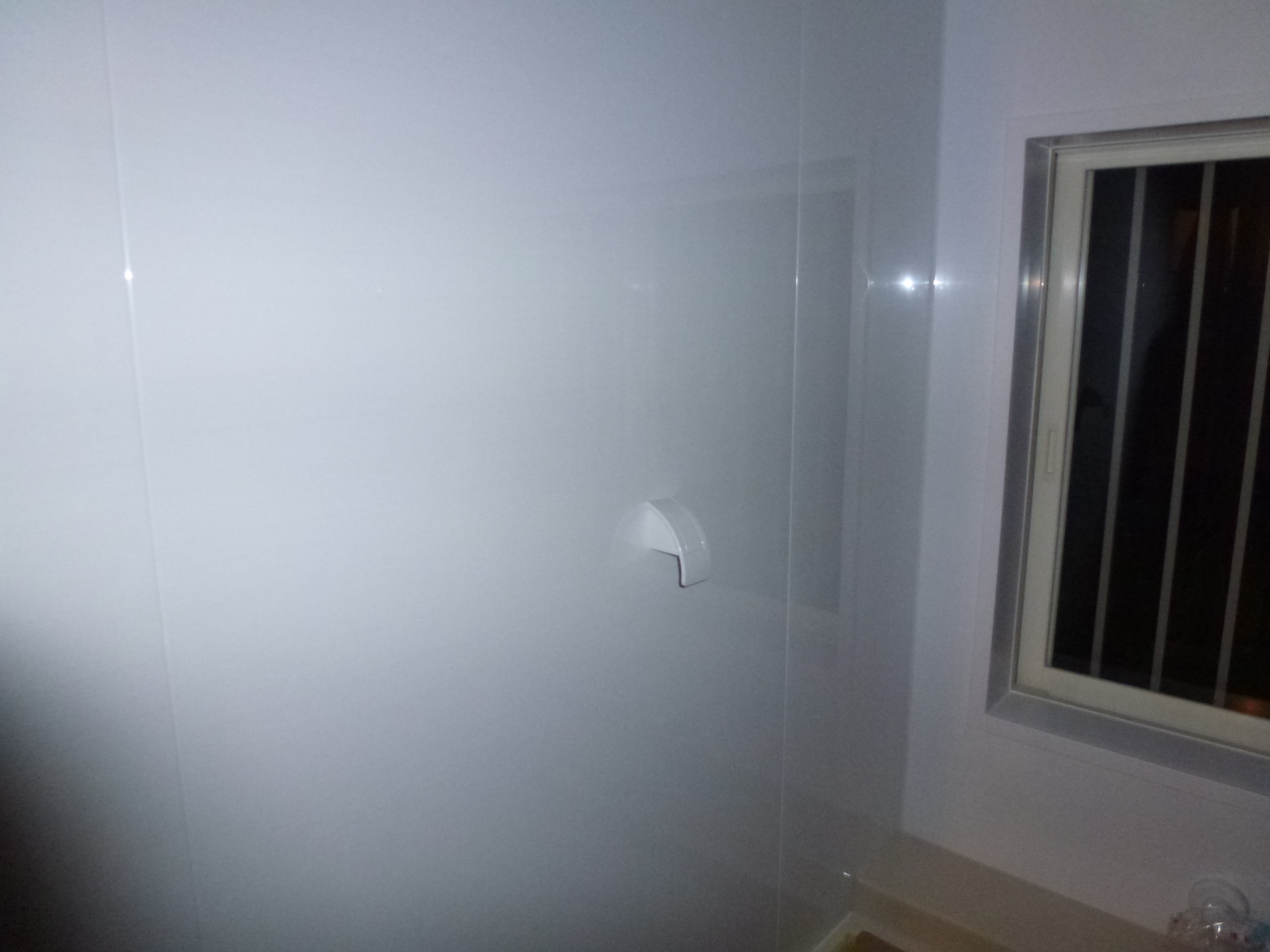 P1000581.JPG