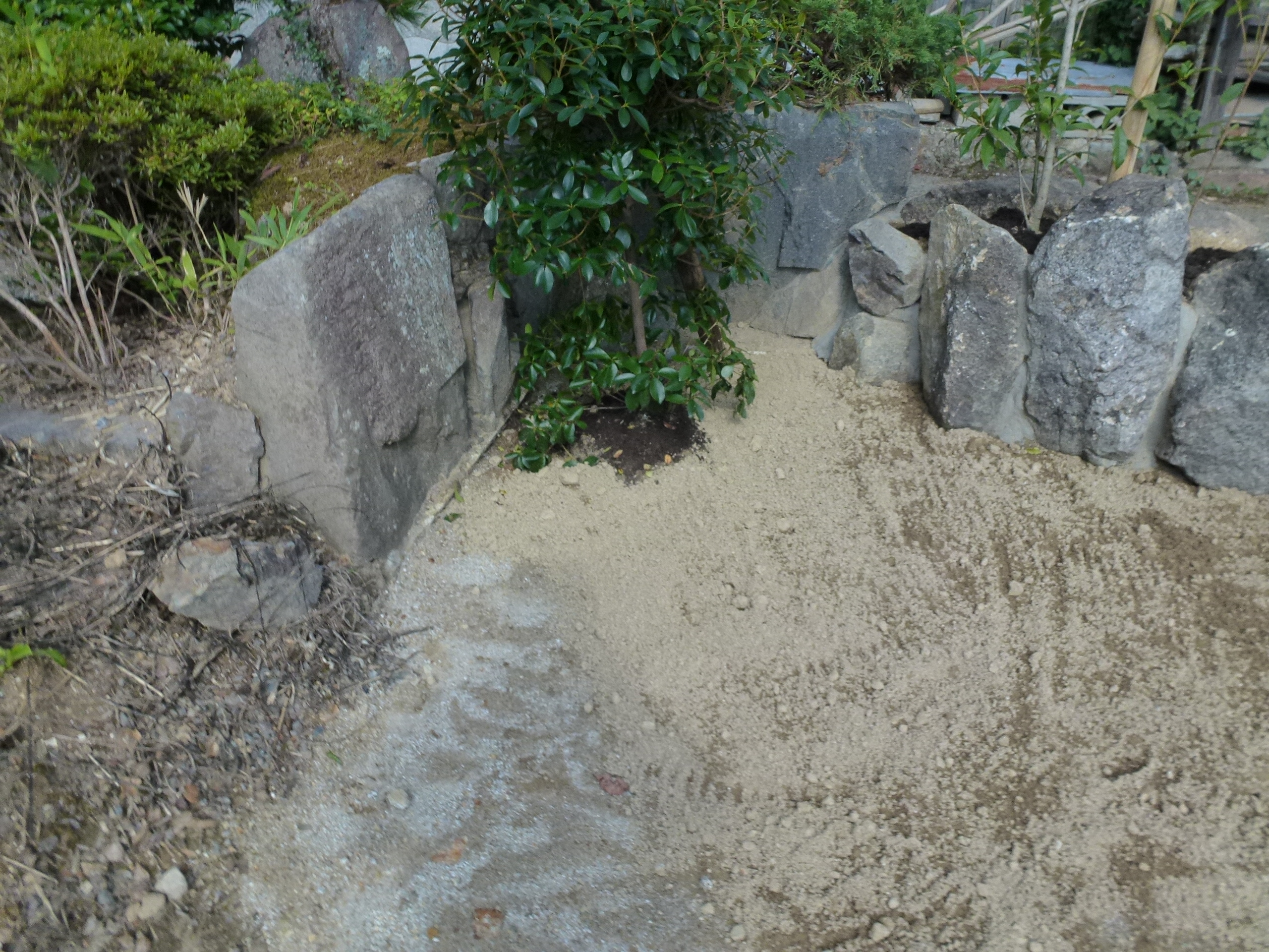 P1000727.JPG