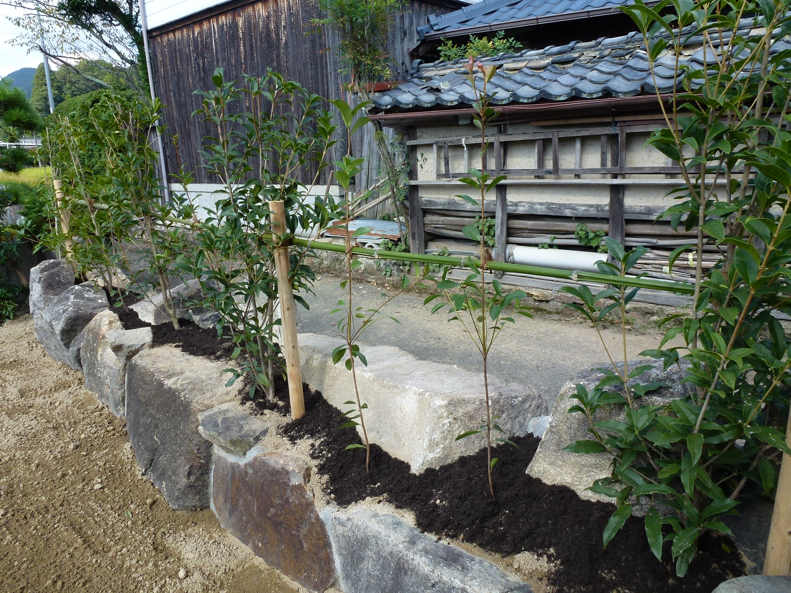 P1000730.JPG