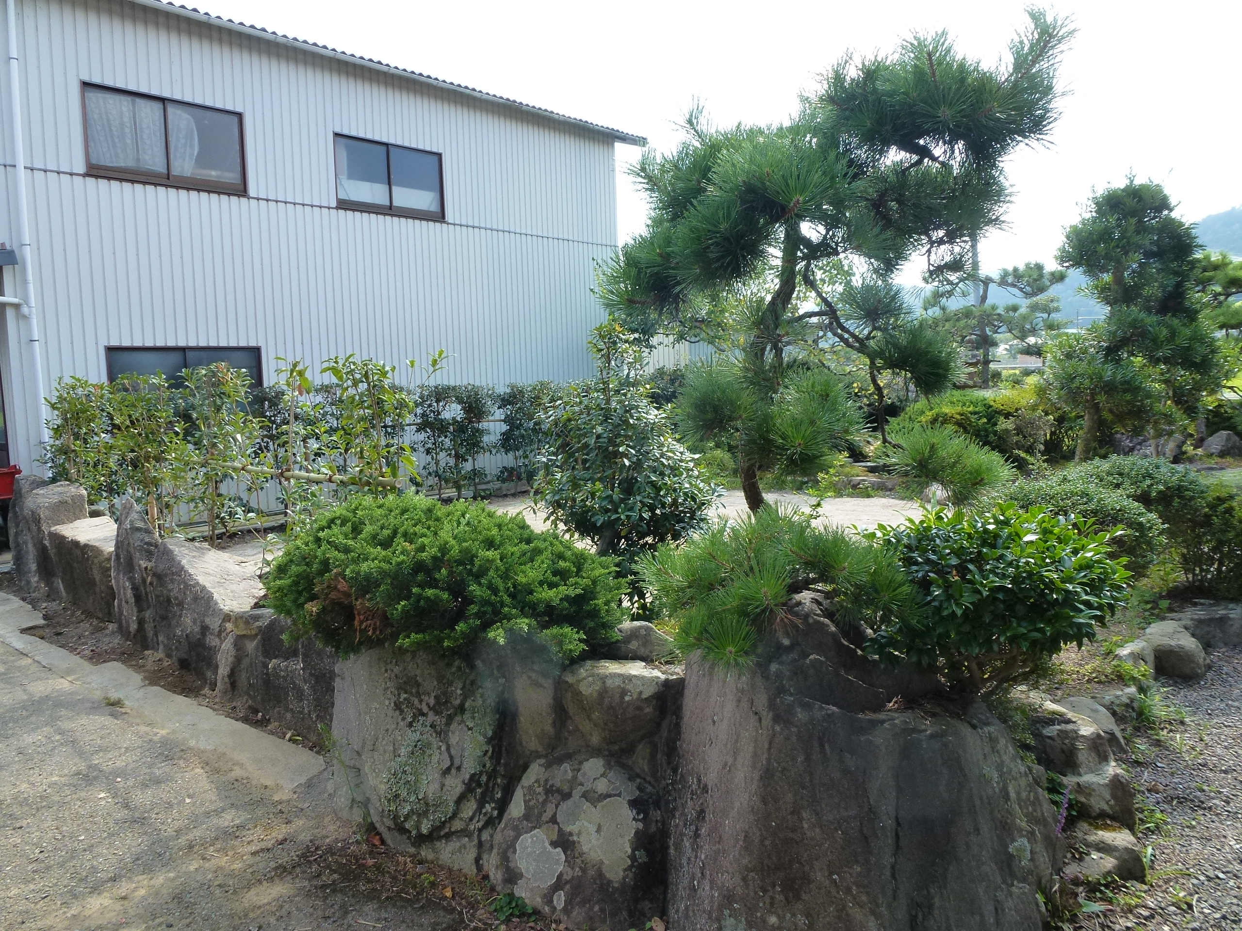 P1000731.JPG