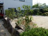 img0000.jpg