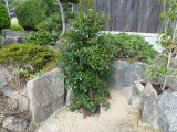 img0002.jpg