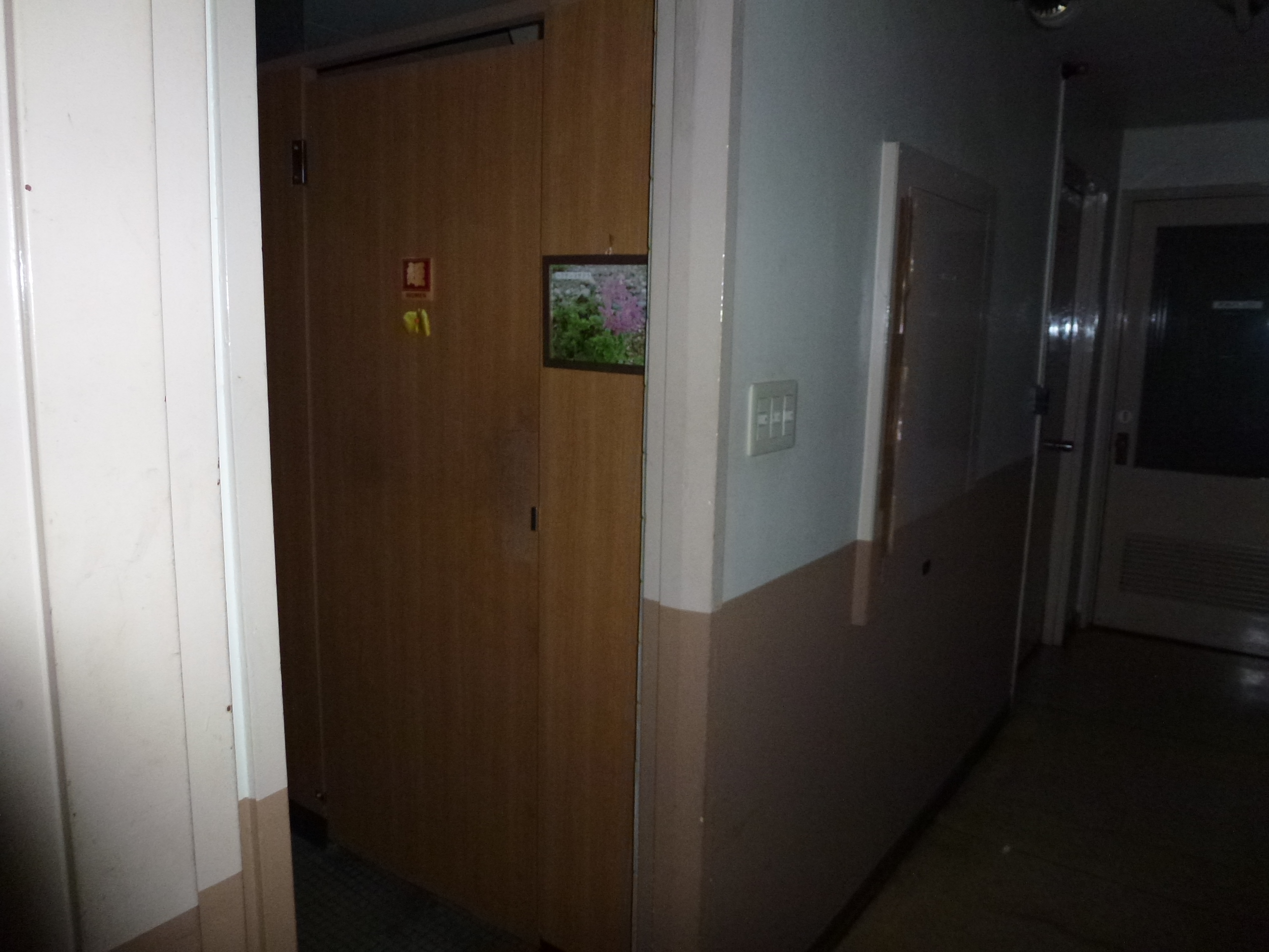 P1000755.JPG