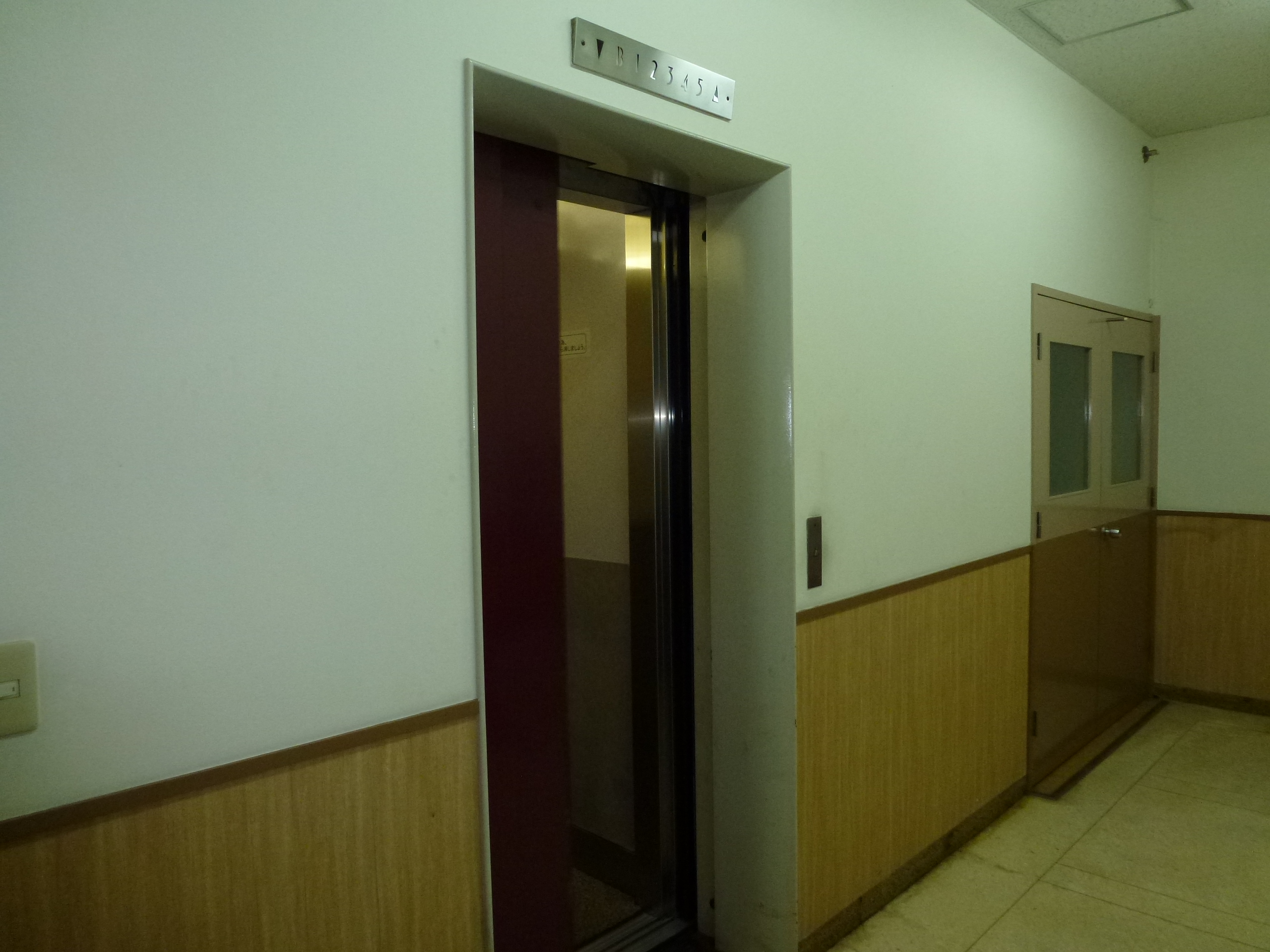 P1000757.JPG