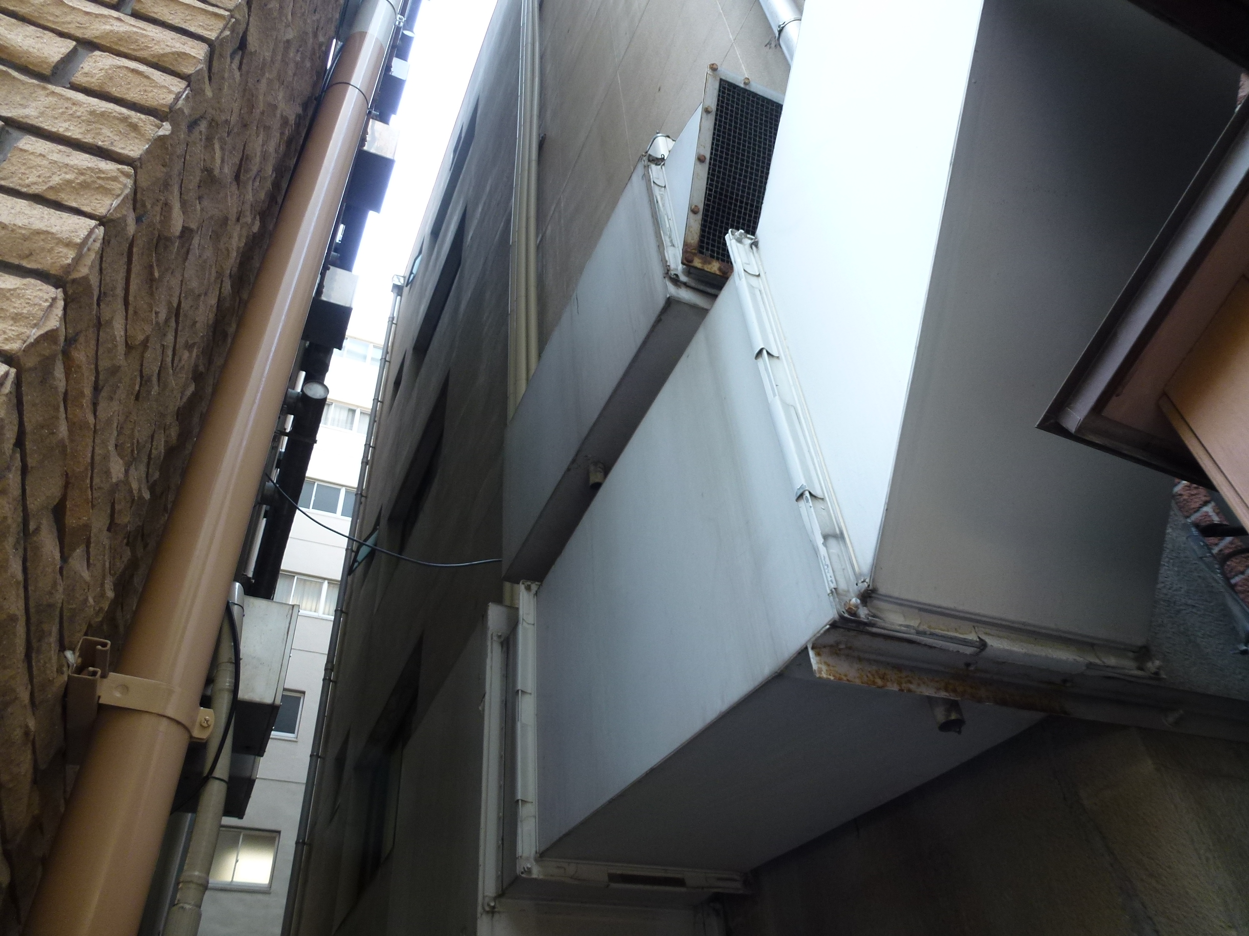P1000765.JPG