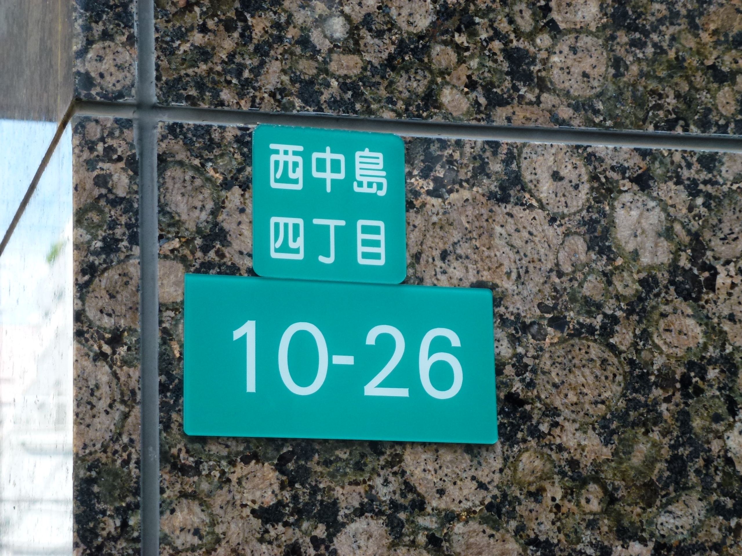 P1000772.JPG