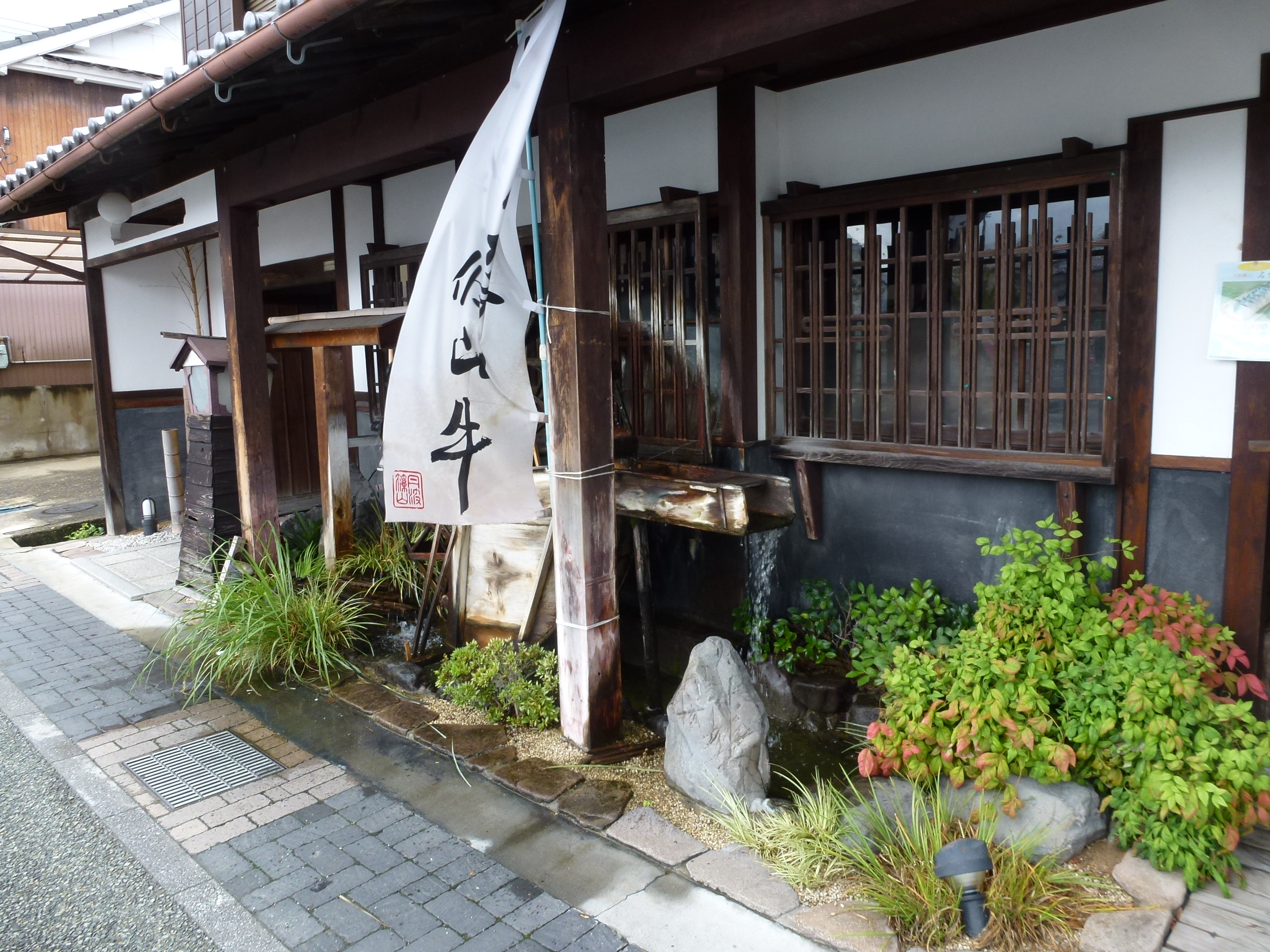 P1000815.JPG