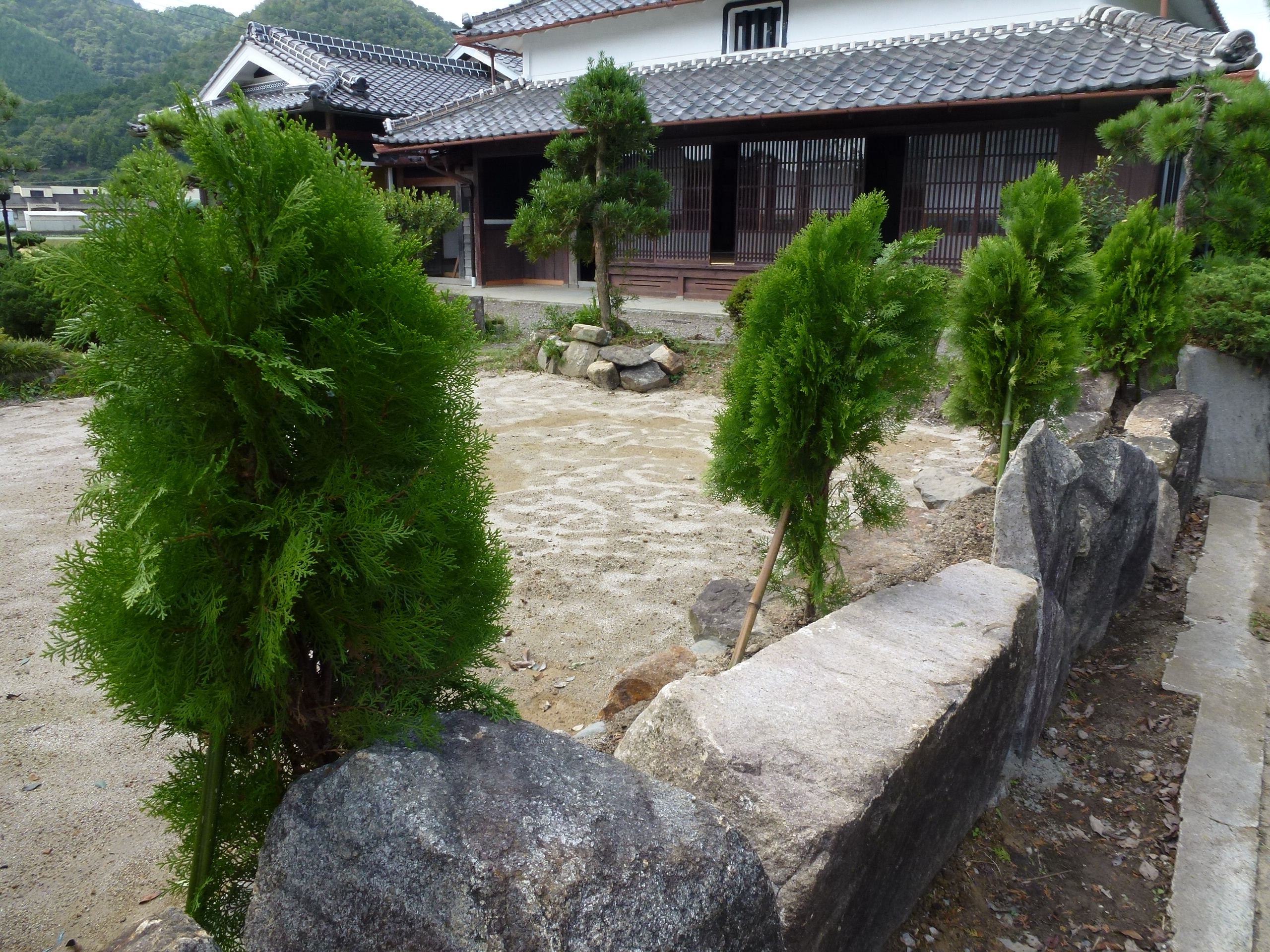 P1000824.JPG