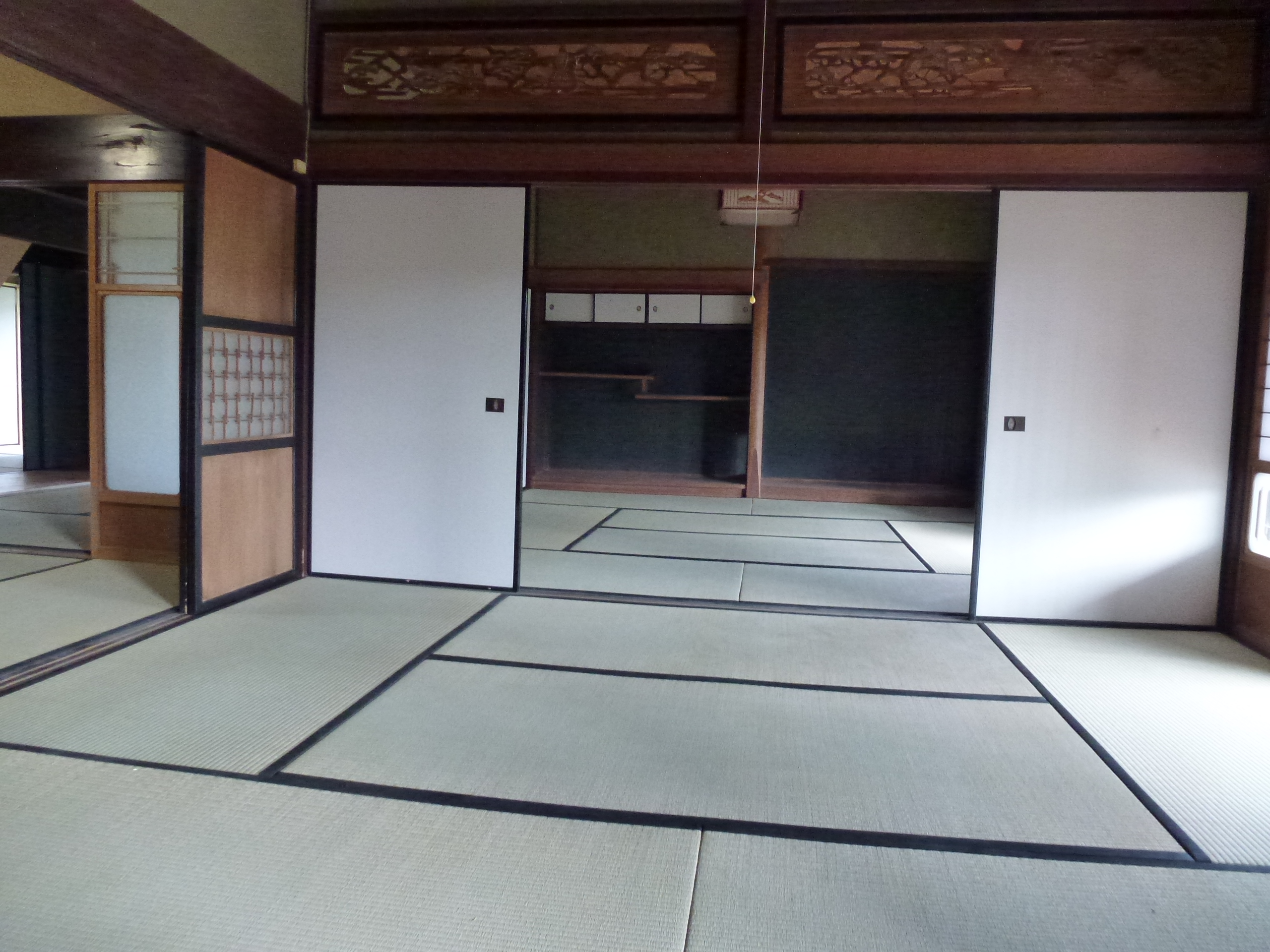 P1000828.JPG