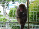 img0006.jpg