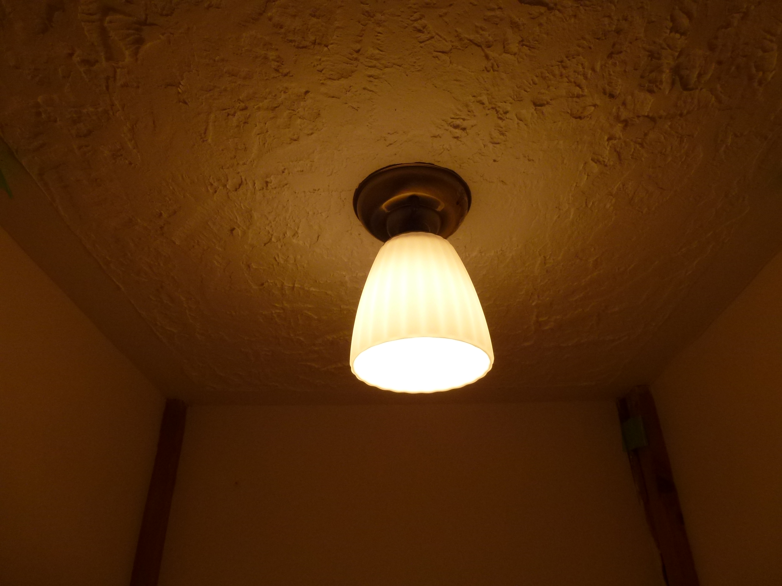 P1000897.JPG