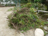 img0001.jpg