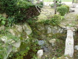 img0002.jpg