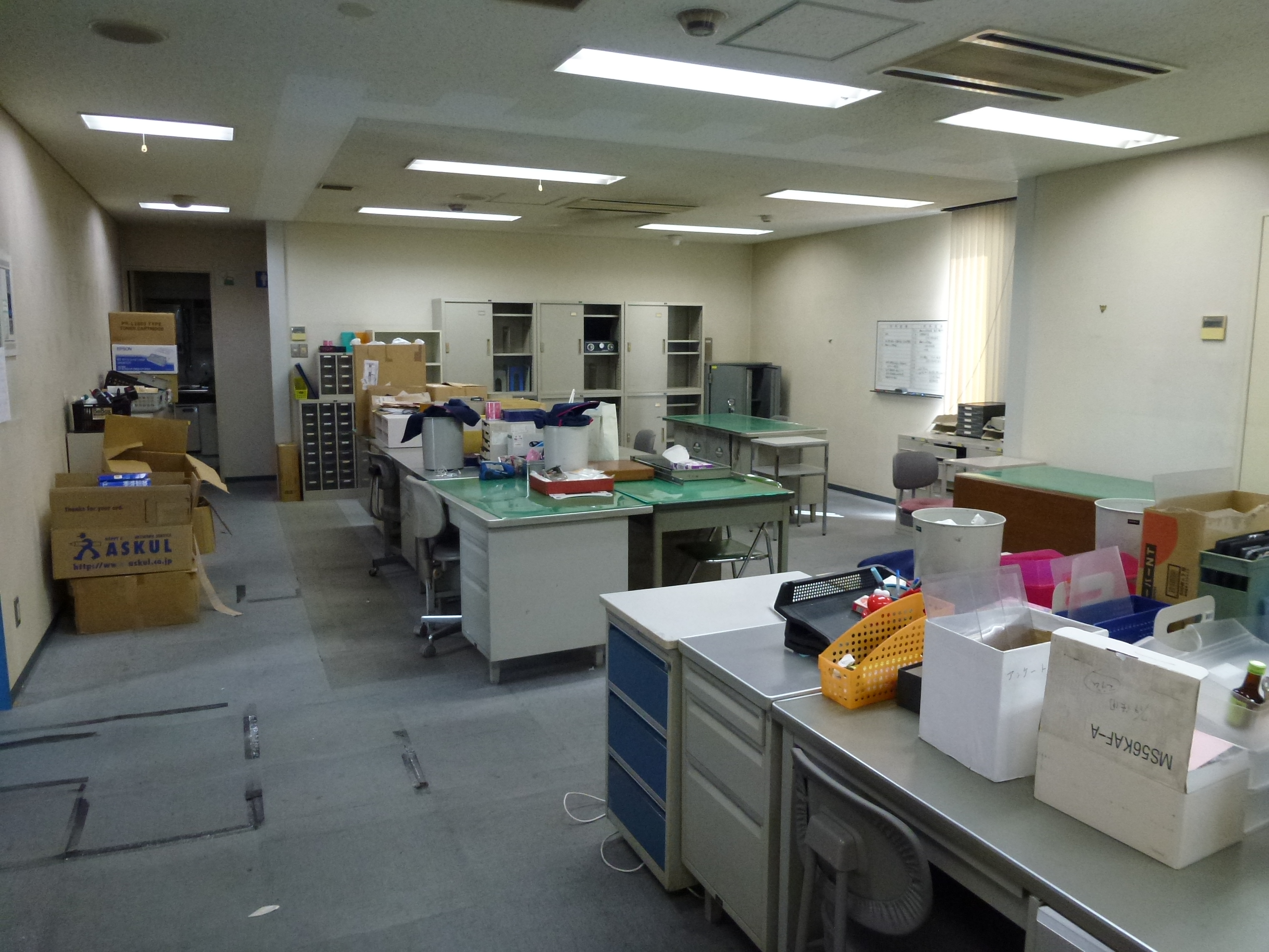 P1000983.JPG