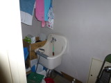 img0036.jpg