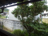 img0000.jpg
