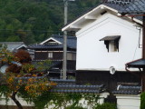 img0002.jpg