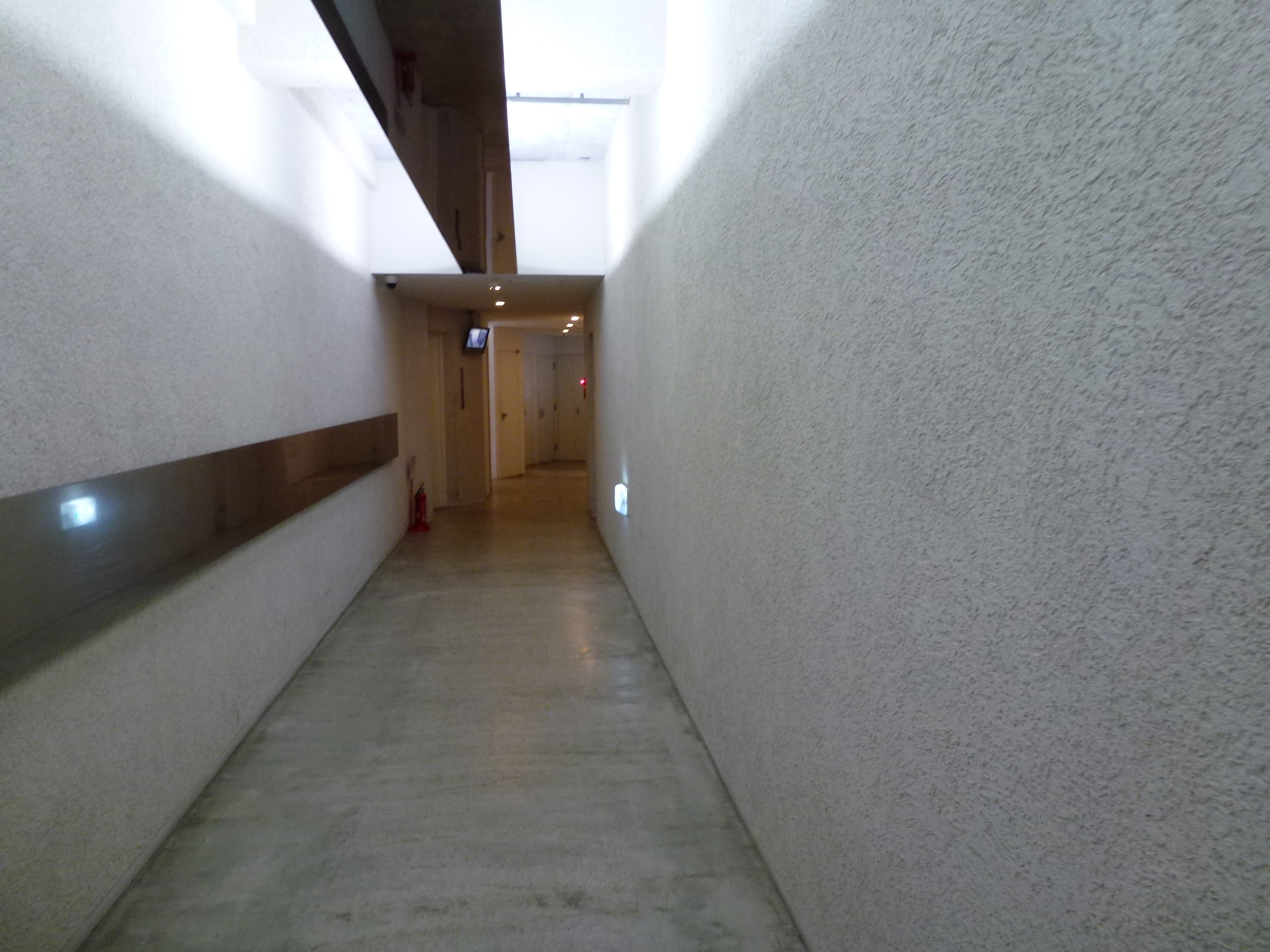 P1010054.JPG