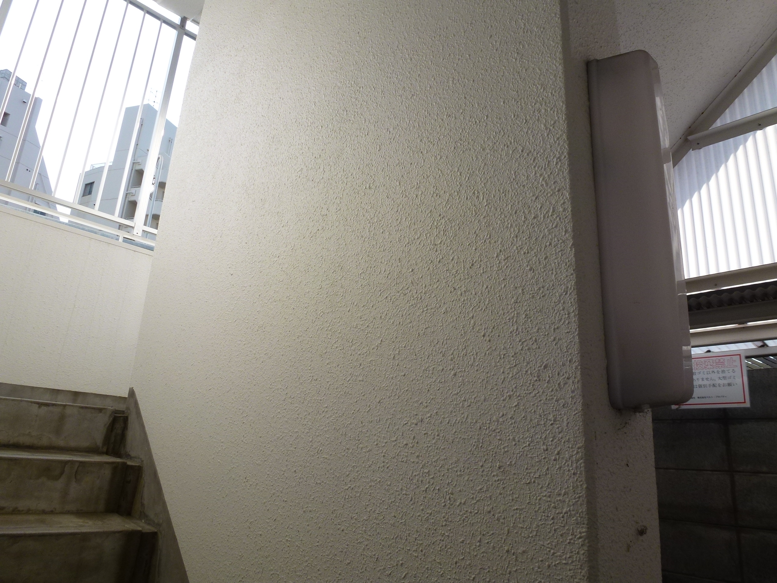 P1010056.JPG