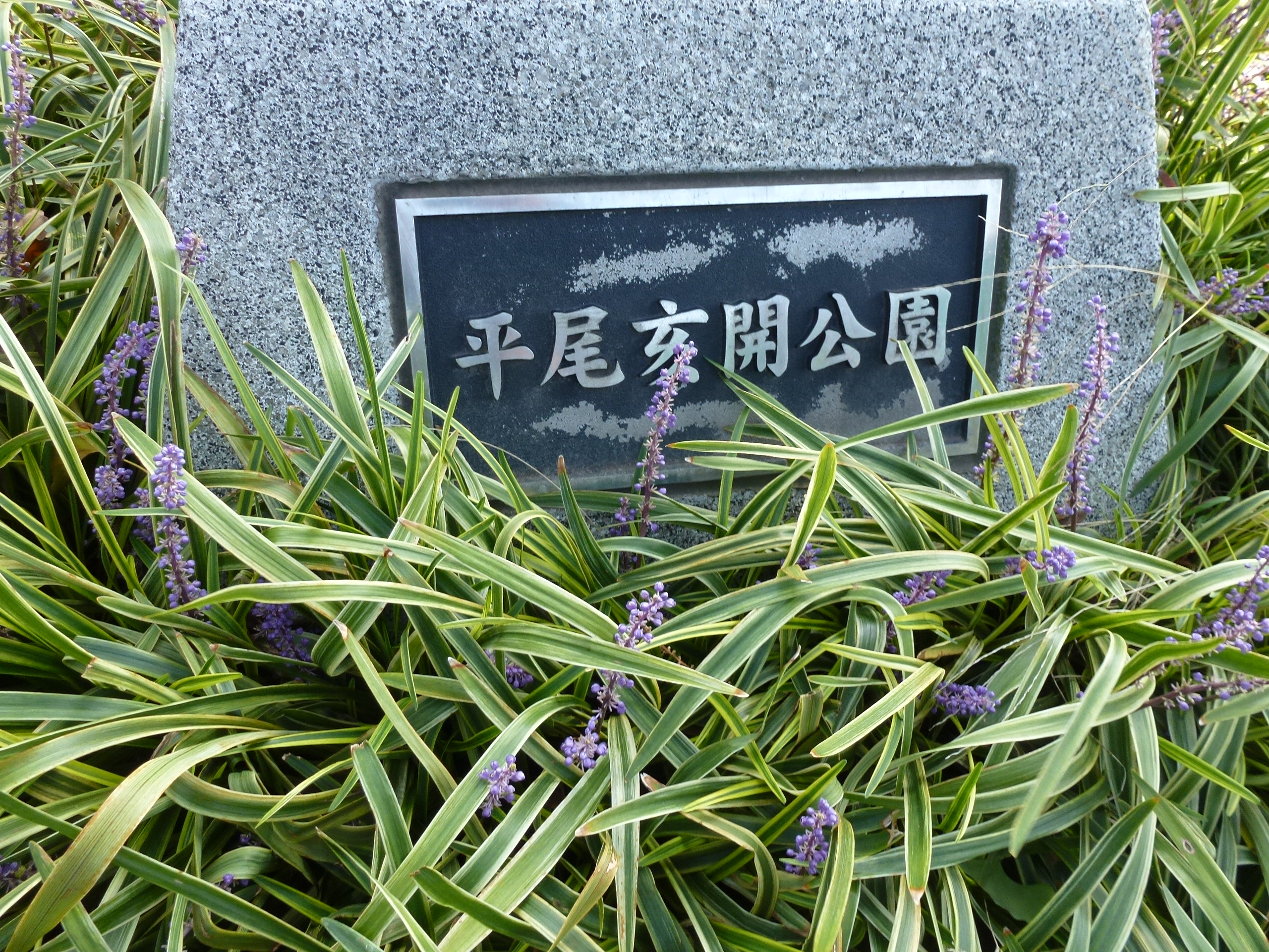 P1010169.JPG