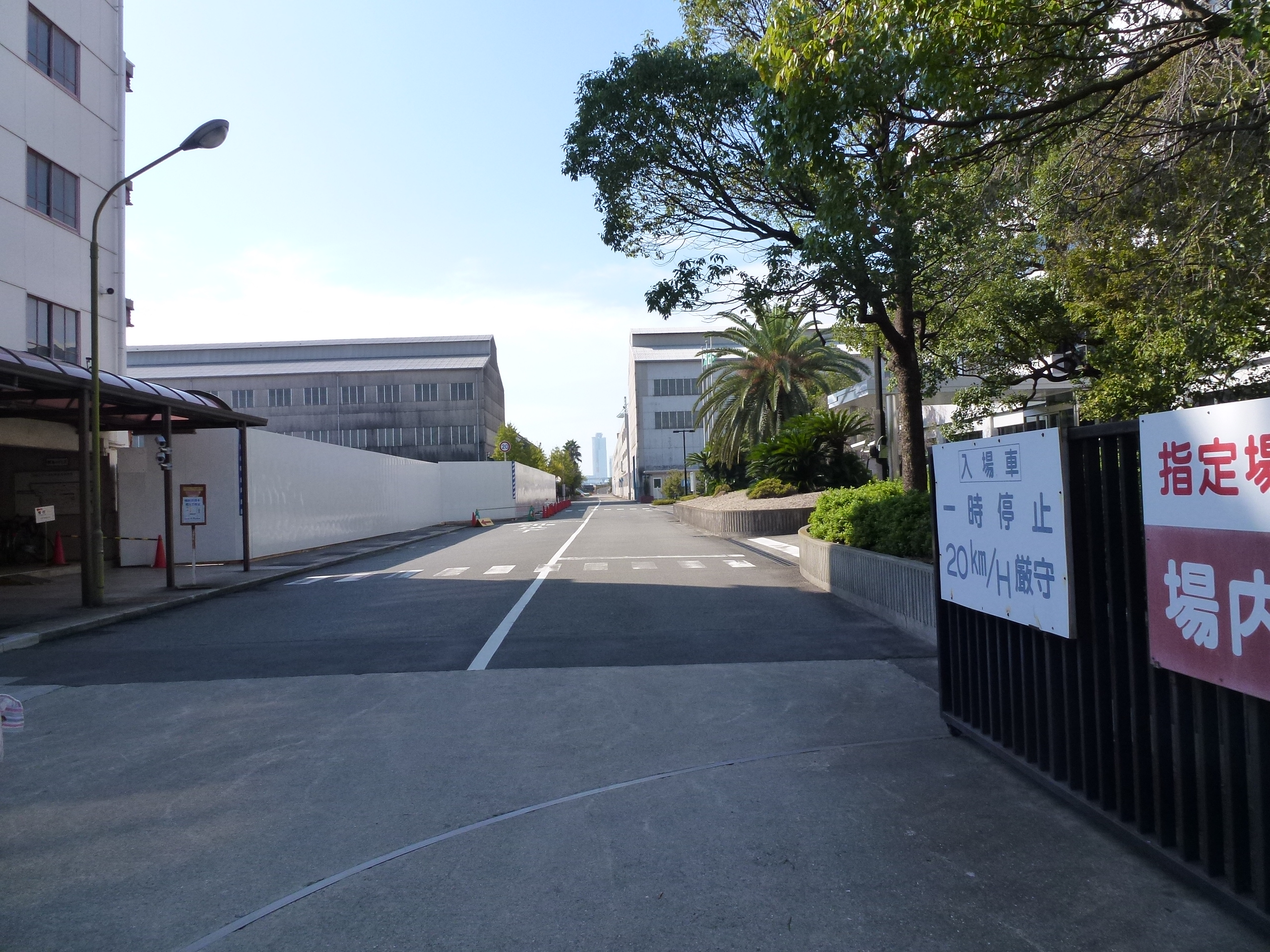 P1010197.JPG