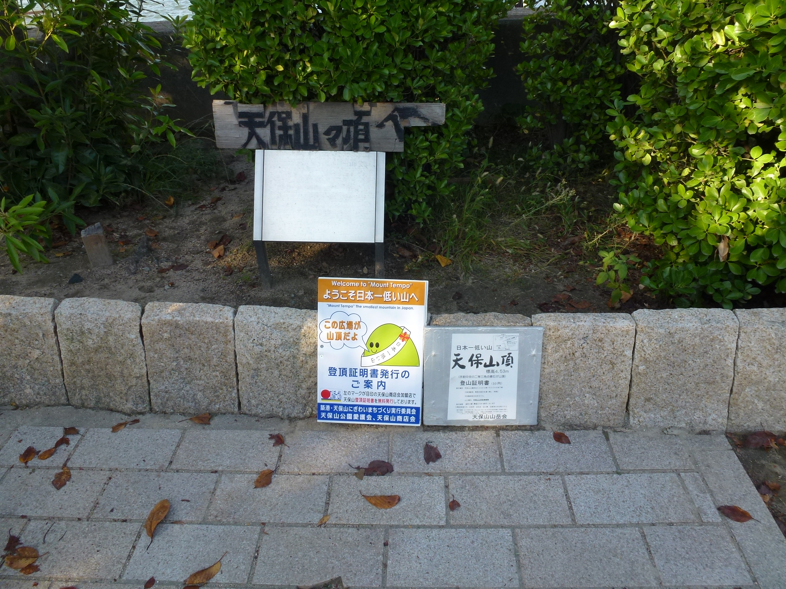 P1010225.JPG