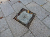 img0095.jpg