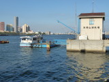 img0096.jpg