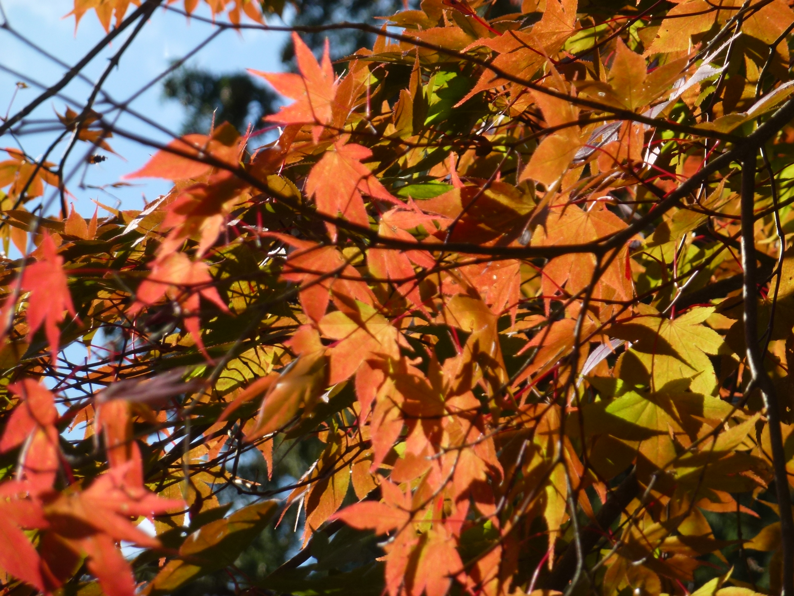 P1010273.JPG