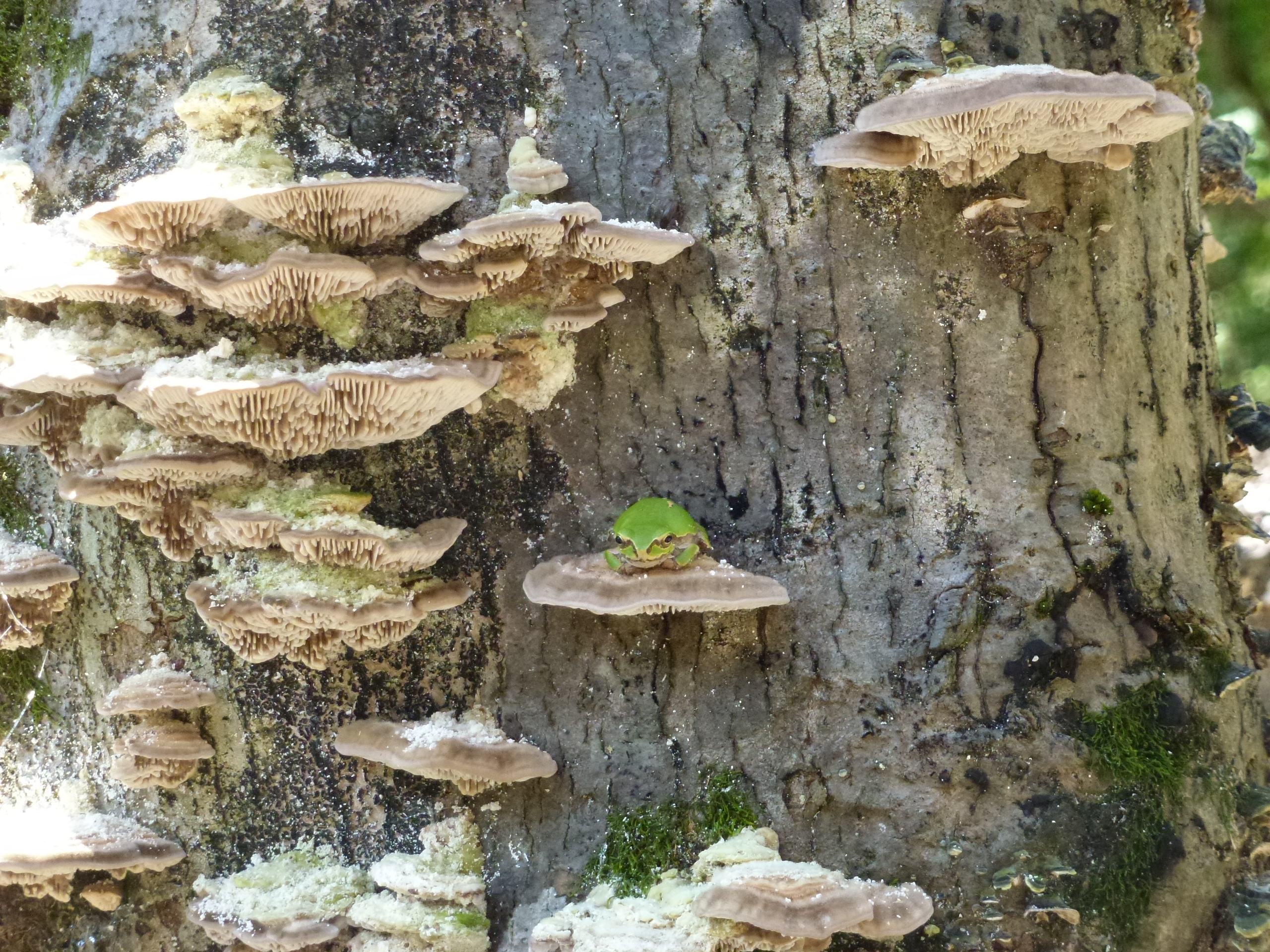 P1010276.JPG
