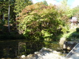 img0003.jpg