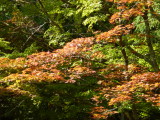 img0009.jpg