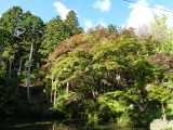 img0012.jpg