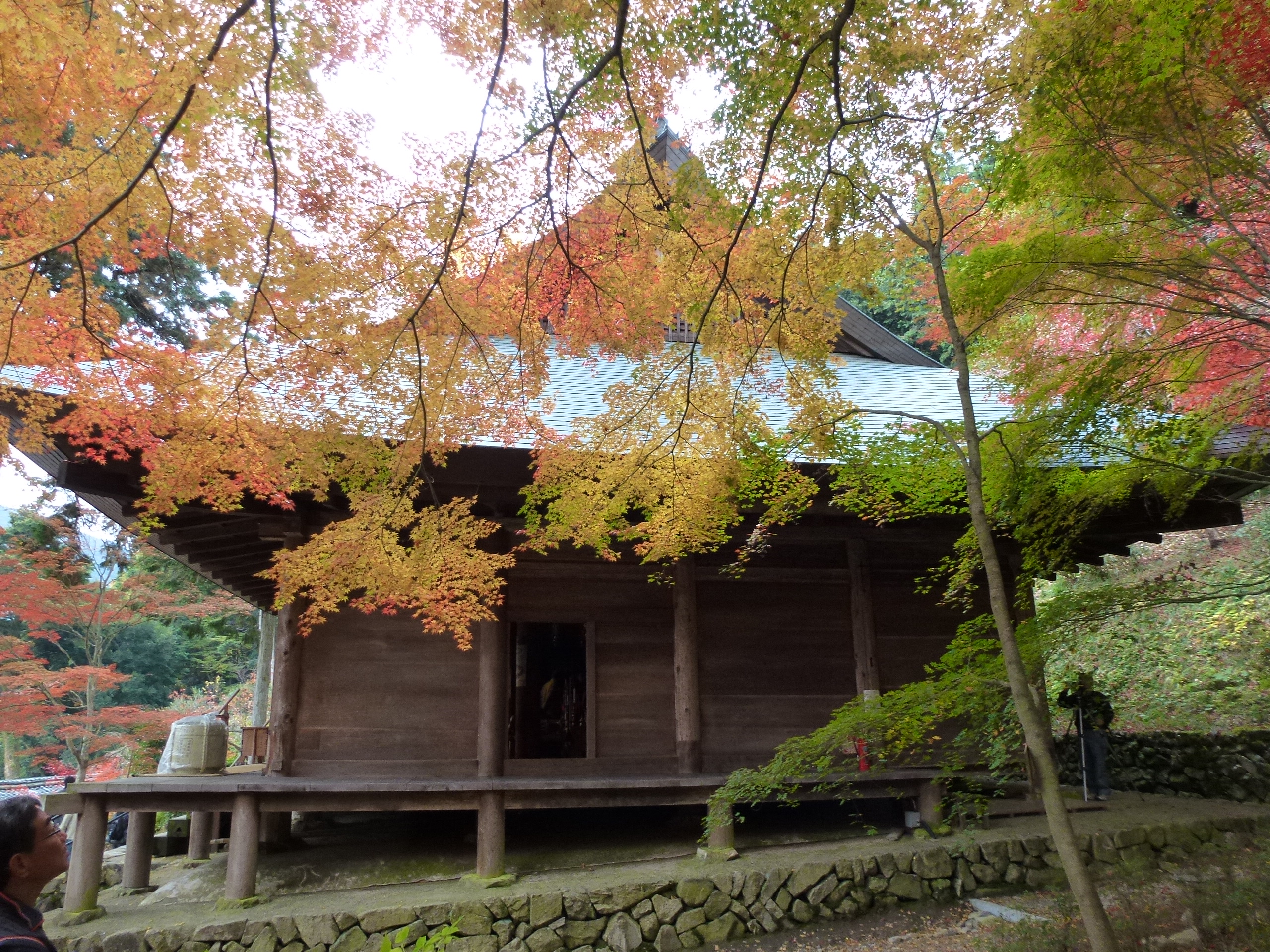 P1010384.JPG