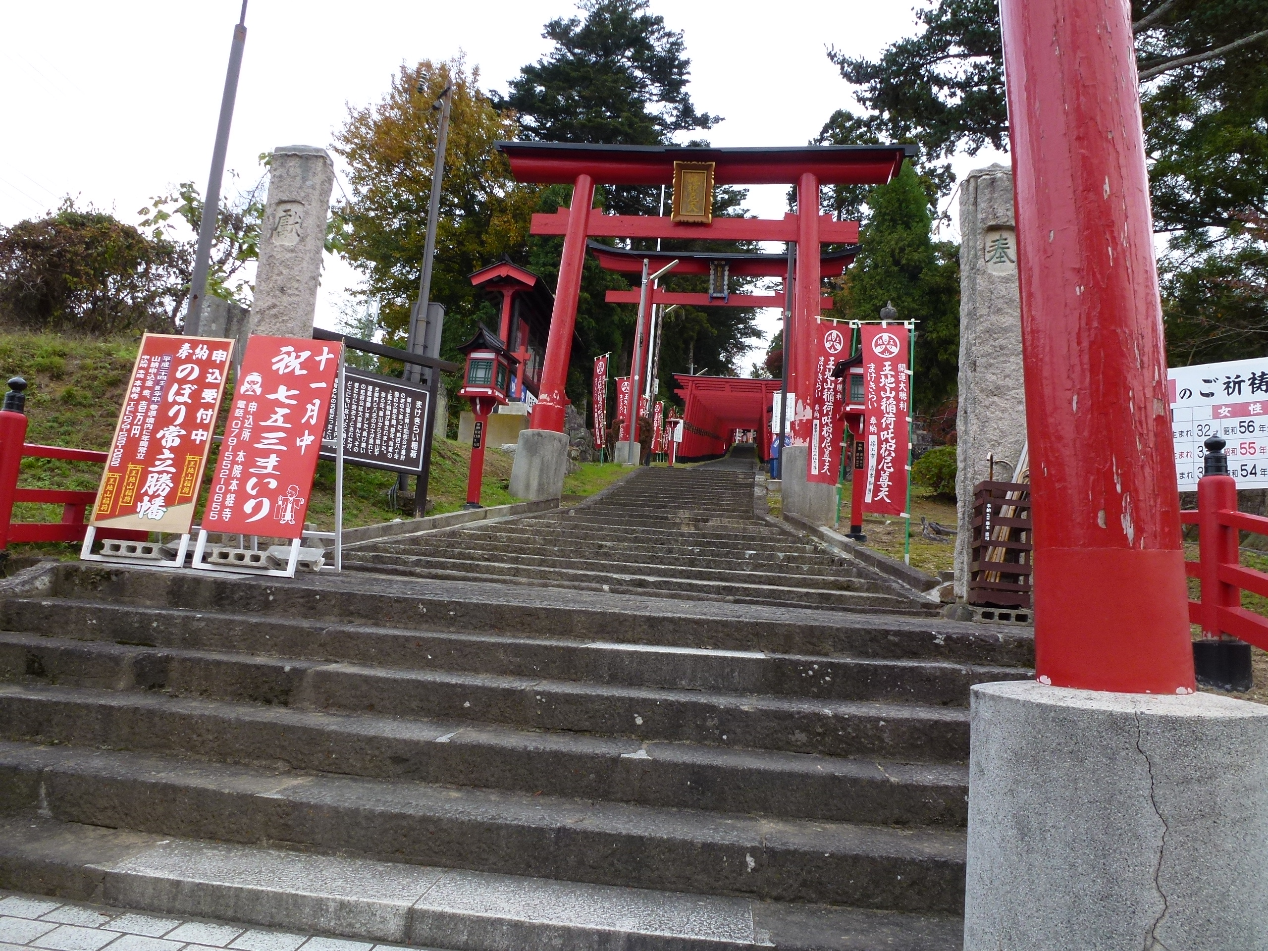 P1010398.JPG