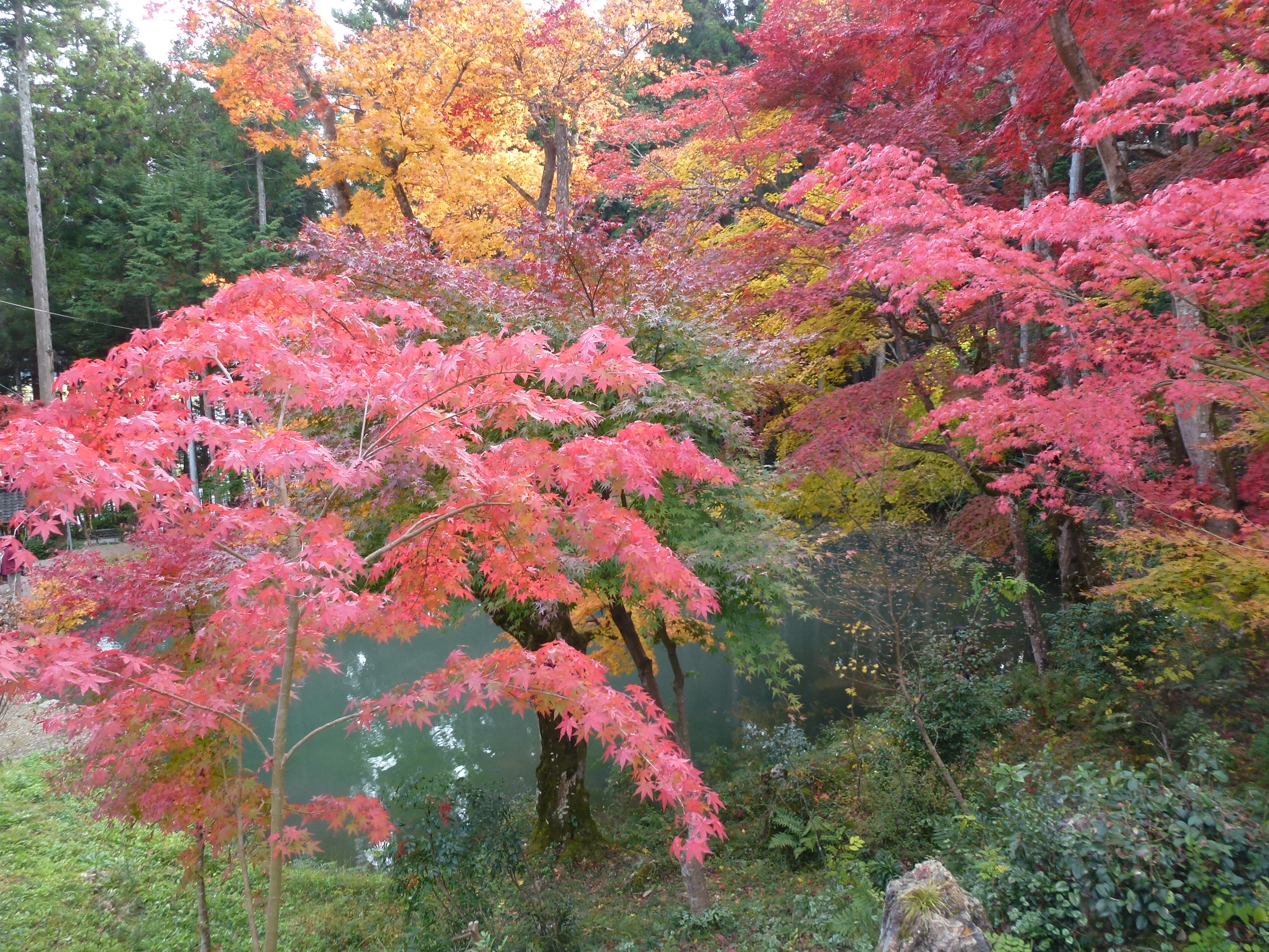 P1010407.JPG