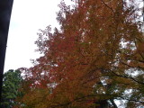 img0003.jpg