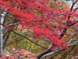 img0006.jpg