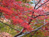 img0007.jpg